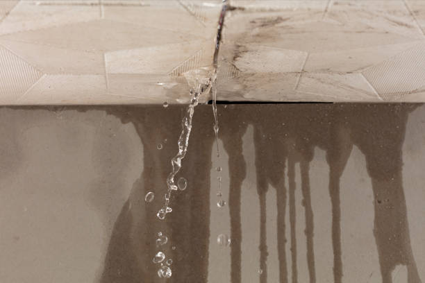 Professional Sewage Cleanup technician working in Harrisburg, IL